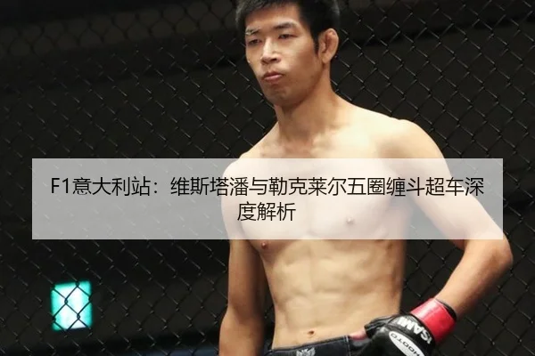 yi-da-li-zhan-wei-si-ta-pan-yu-lei-ke-lai-er-wu-quan-chan-dou-chao-che-shen-du-jie-xi-2-496.jpg
